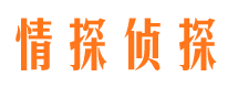 宁夏市调查取证